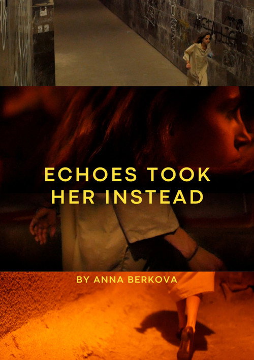 Echoes Took Her Instead poster