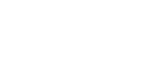 Public Enemies