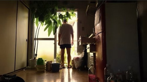 dumb songs 2024 Backdrop Blur