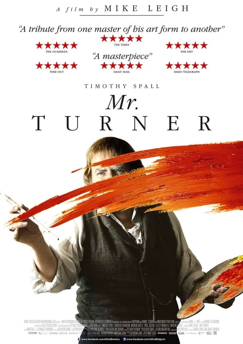 Mr. Turner 2014