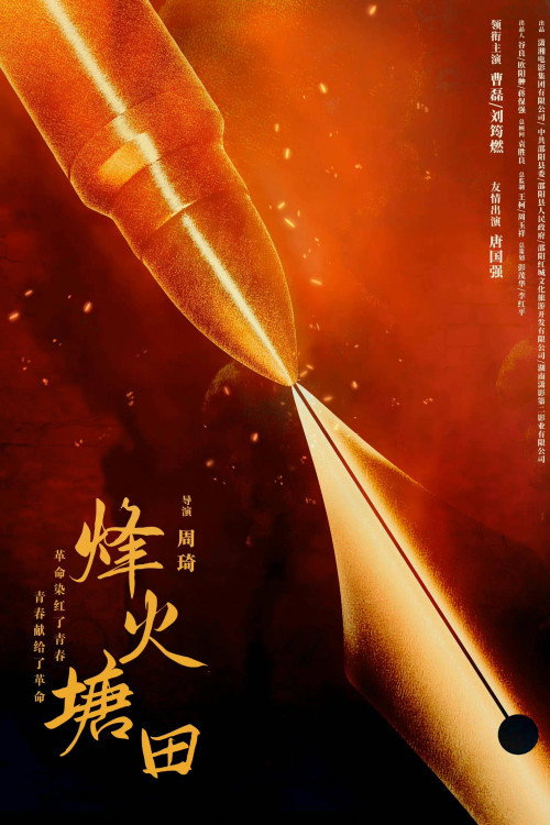 沔州烽火 - 剧情片 (2009) 海报