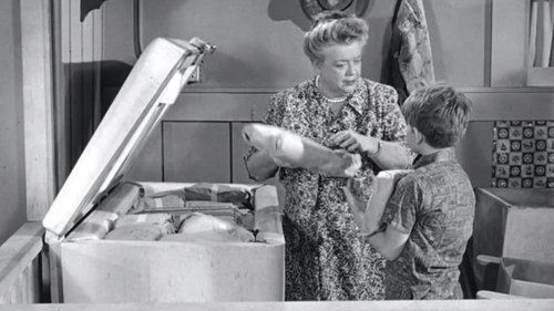 Escena del episodio 24 de la temporada 4 de la serie The Andy Griffith Show