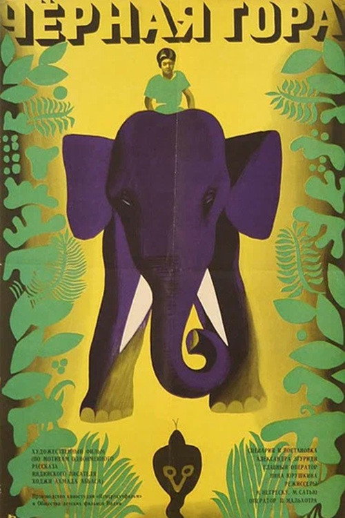 Black Mountain poster