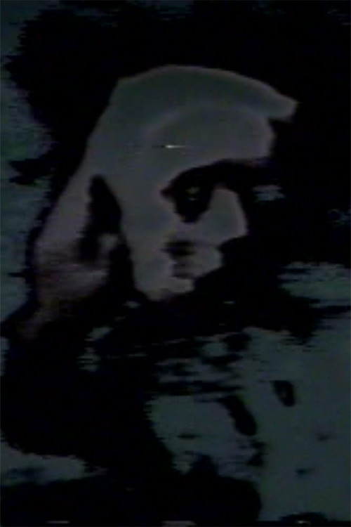 Pictures of the Lost