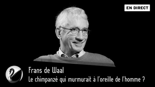 Le chimpanzé qui murmurait à l'oreille de l'homme ? Frans de Waal