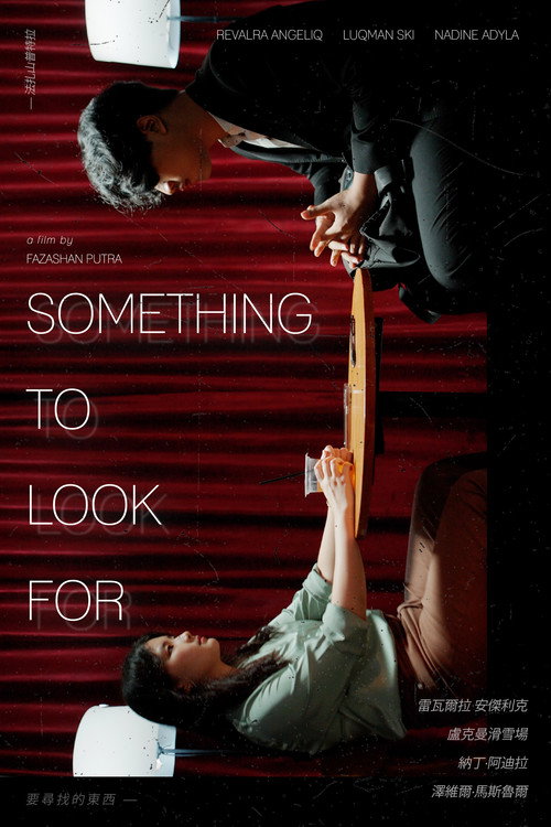 Something To Look For poster