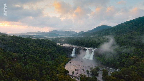 Destination Wild: India