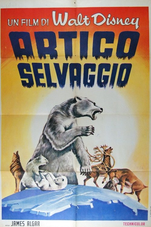 Artico selvaggio movie poster player