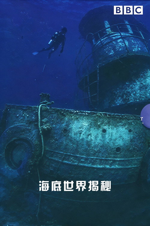 Journeys to the Bottom of the Sea