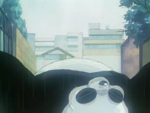 Episodio 2: La escuela no es un parque de atracciones