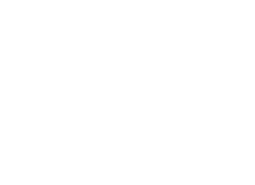 The Brutalist