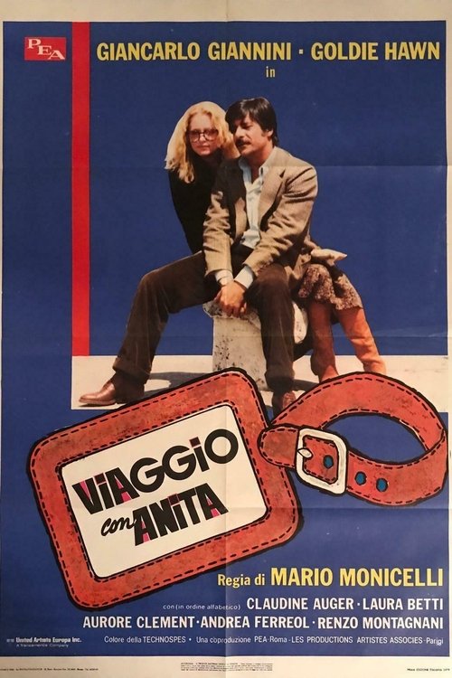 Viaggio con Anita poster