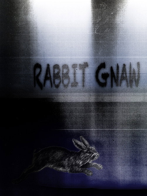 Rabbit Gnaw