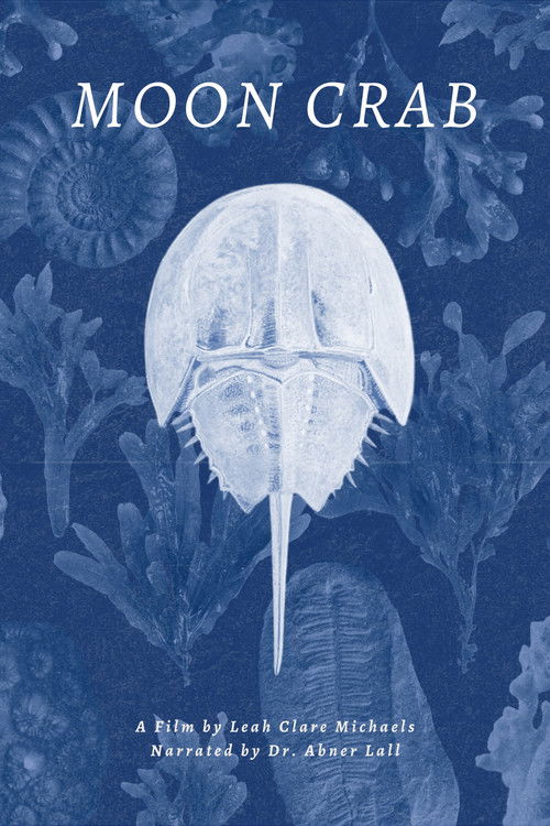 Moon Crab poster