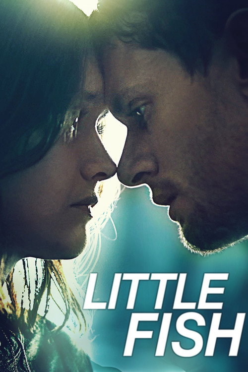Little Fish poster