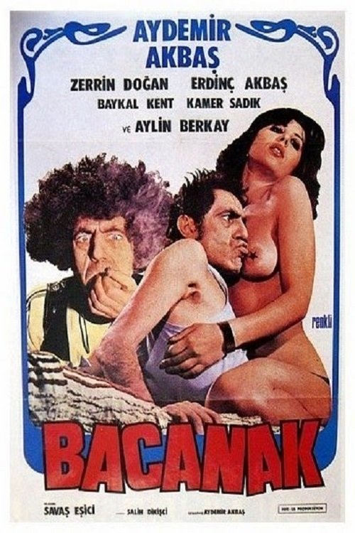 Bacanak 1979 Bacanak 1979
