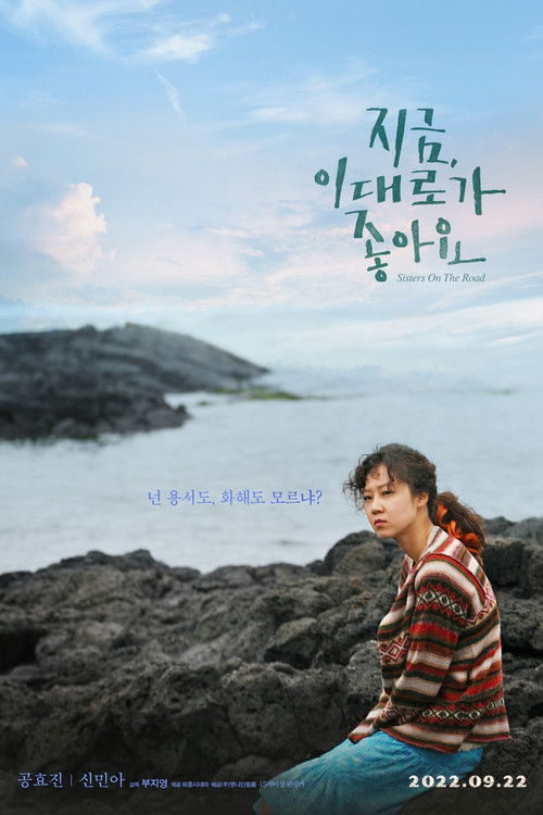 Sisters on the Road poster