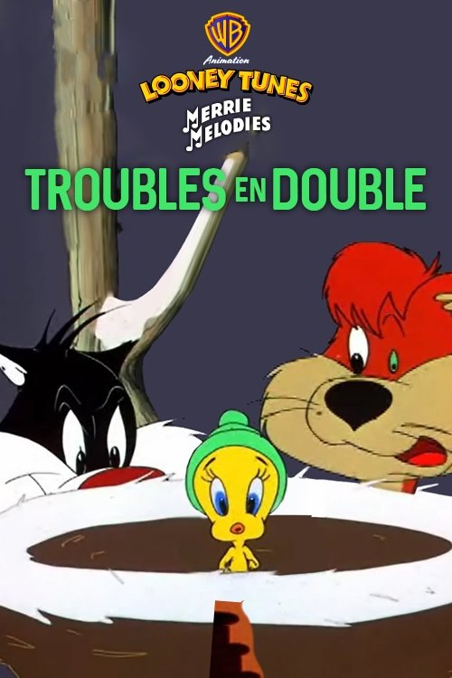 Troubles en double Poster