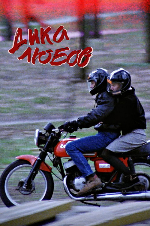 Wild Love poster