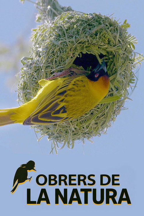 Escena 2 de Wild Workers