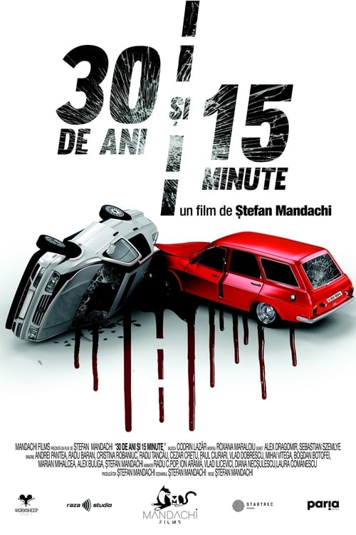 30 Years and 15 Minutes Movie Poster Image