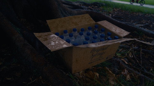 SYDNEY HIMH JOSEPH VANOYE CUT