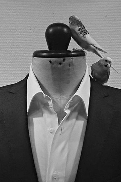 Tailor