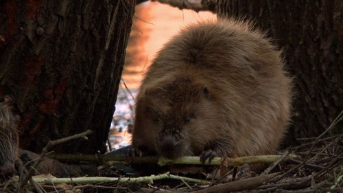 Image de l'épisode 4