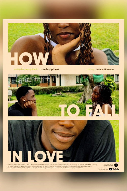 HOW TO FALL IN LOVE poster