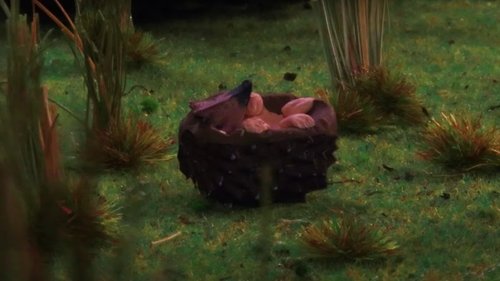 Image de l'épisode 5