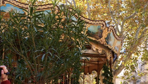 À travers l'objectif