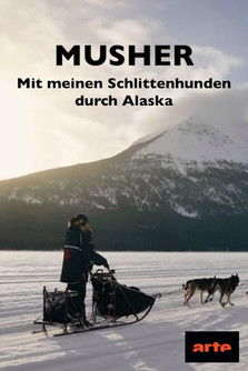 Musher - Mit meinen Schlittenhunden durch Alaska