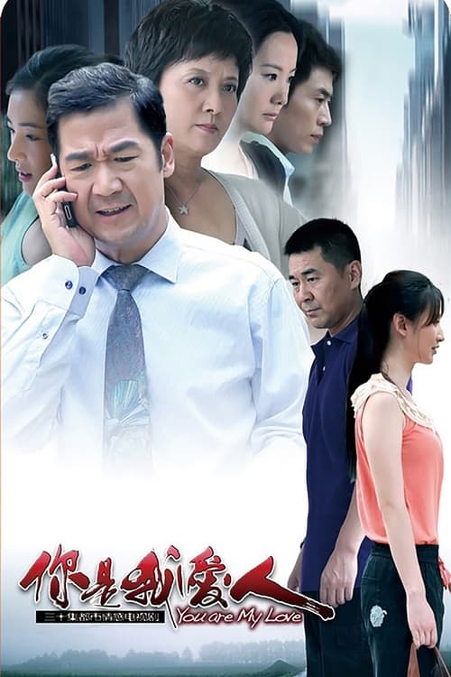 你是我爱人 (2012)