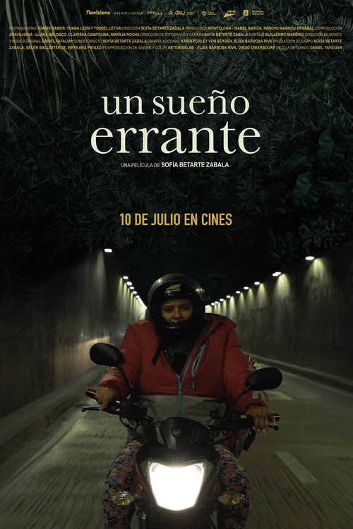 Un sueño errante