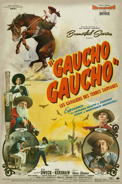 Gaucho Gaucho poster