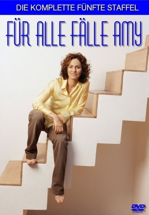Ver temporada 5 de La juez Amy Póster de la temporada 5 de la serie La juez Amy