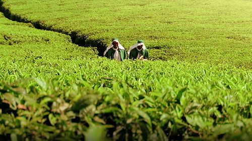 O Destino de Martha Poster