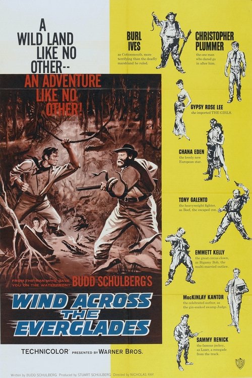 Wind Across the Everglades poster