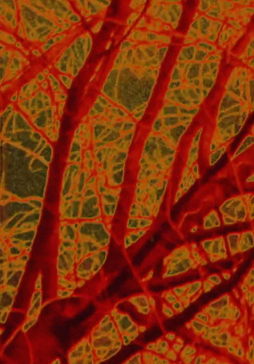 Seven Minutes in May poster