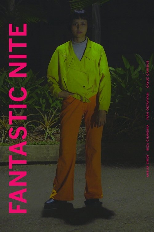 Fantastic Nite movie poster player