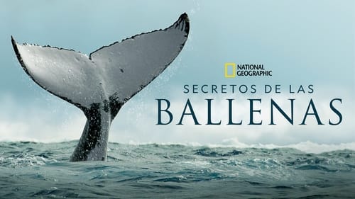 Secrets of the Whales