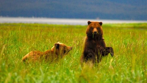 Nature, S30E06 - (2012)