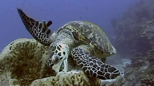 Image de l'épisode 27