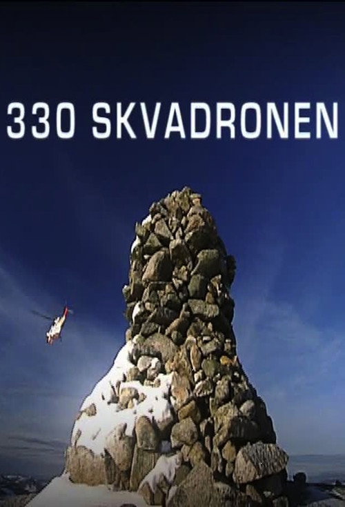 330 Skvadronen poster