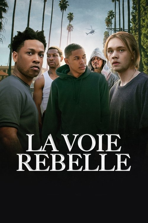 Poster image du film La voie rebelle La voie rebelle