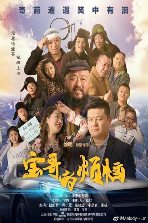 宝哥的烦恼 (2019) poster