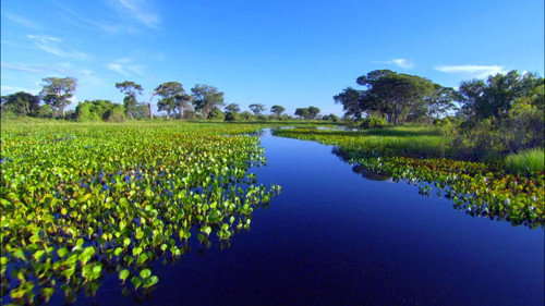 Planet Earth S01E03 — Freshwater episode still