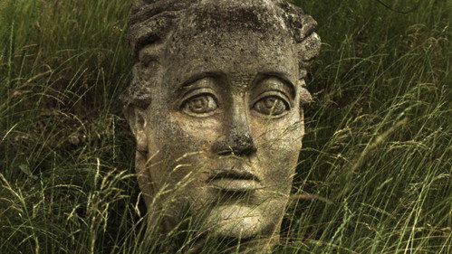 The Portrait of Irma Geisslová, Who Died Sad Backdrop Blur