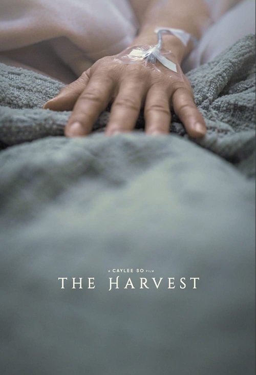 Poster 3
