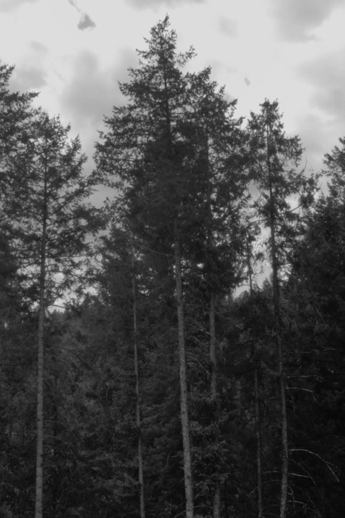 Words Are The Problem